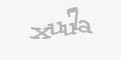 كود امني